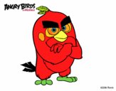 Red de Angry Birds