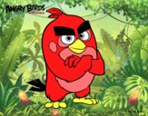 Red de Angry Birds