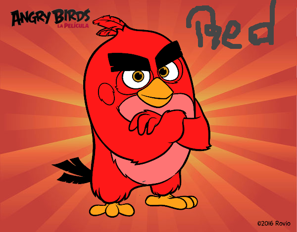 Red de Angry Birds