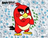 Red de Angry Birds