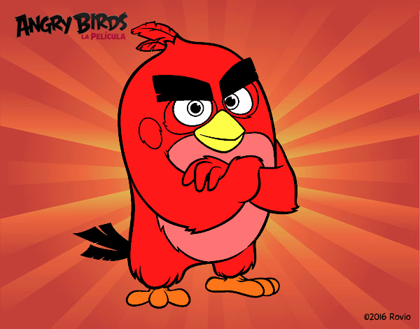 Red de Angry Birds