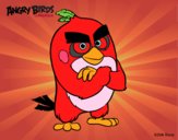 Red de Angry Birds