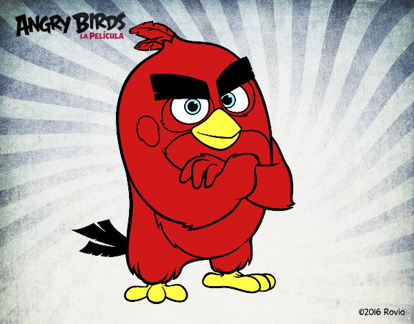 Red de Angry Birds