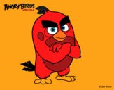 Red de Angry Birds