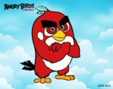 Red de Angry Birds