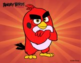 Red de Angry Birds