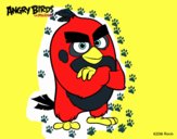 Red de Angry Birds