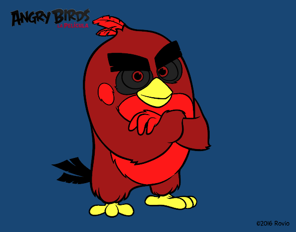 Red de Angry Birds