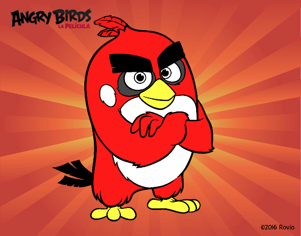 Red de Angry Birds