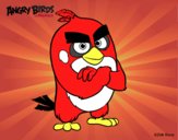 Red de Angry Birds