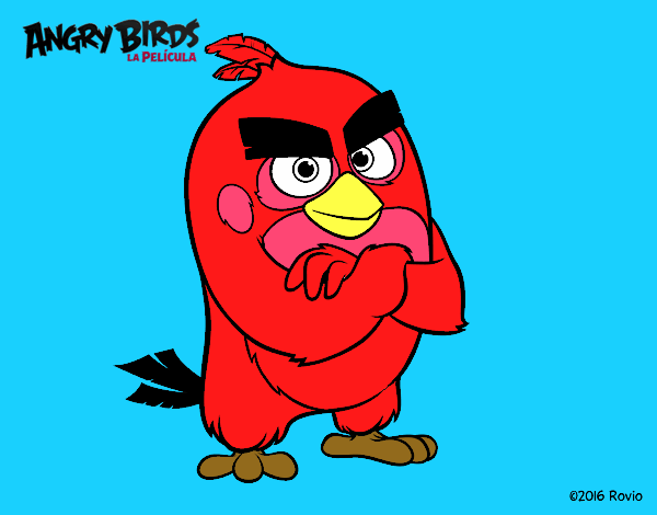 Red de Angry Birds