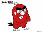 Red de Angry Birds