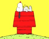 Snoopy durmiendo