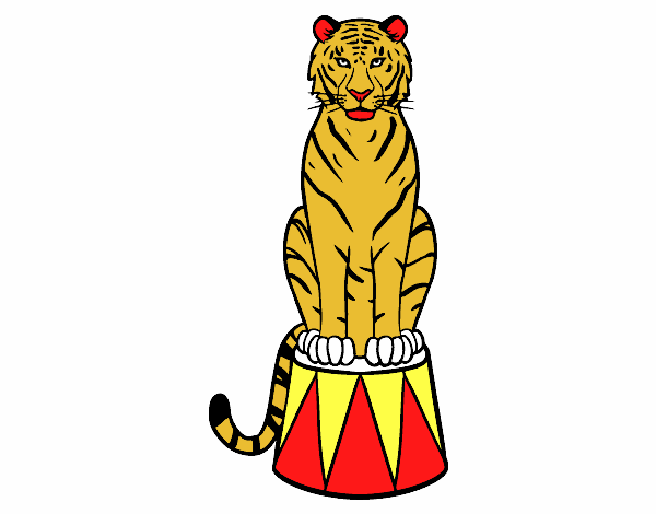 Tigre de circo