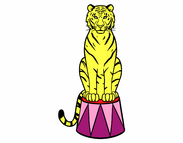 Tigre de circo