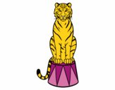 Tigre de circo