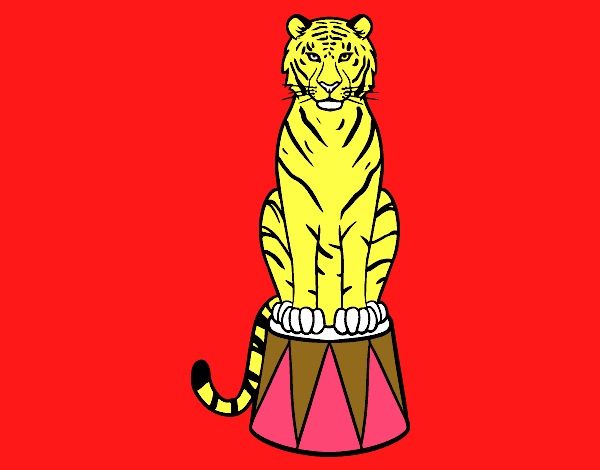 Tigre de circo