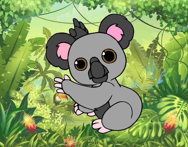 Un Koala