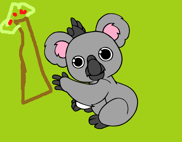 Un Koala