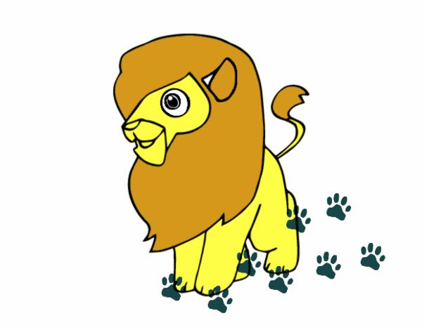 Un león