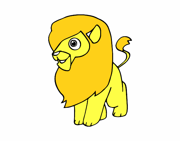 Un león