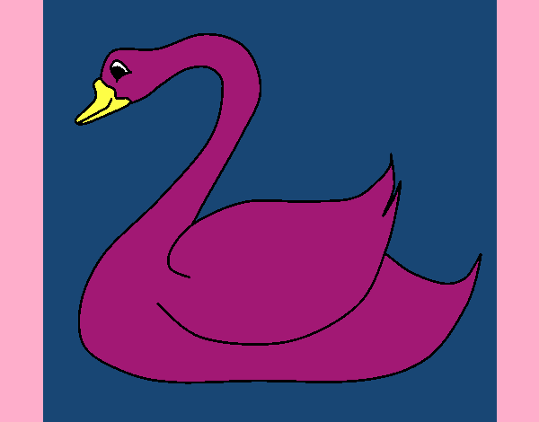 Cisne 1