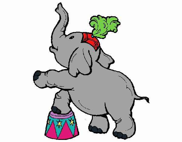 Elefante