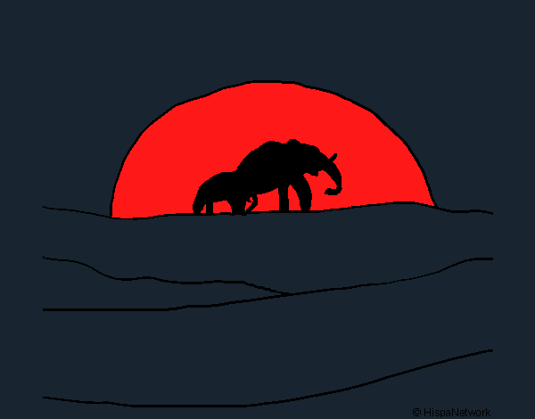 Elefante en el amanecer