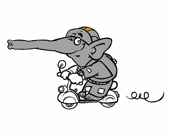 Elefante en moto