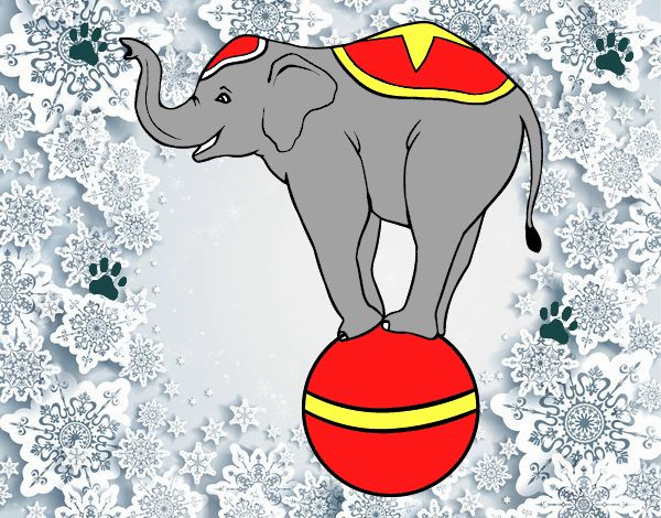 Elefante