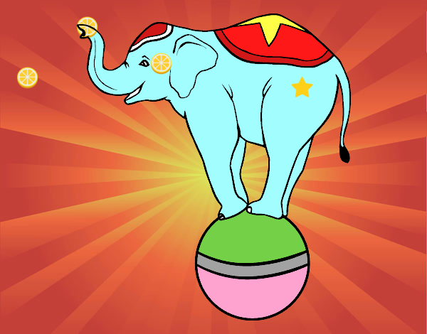 Elefante equilibrista