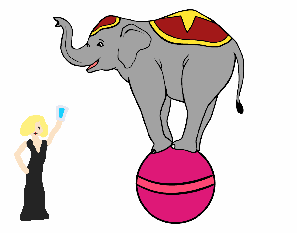 Marlena Rosenbluth y un elefante