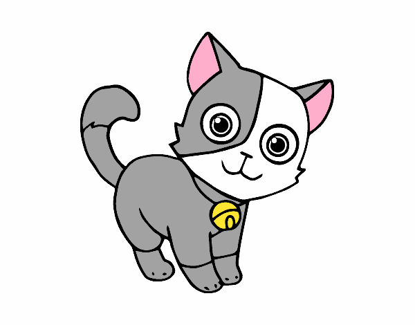 Dibujo Gato doméstico pintado por Noelia468