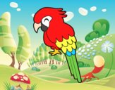 Guacamayo