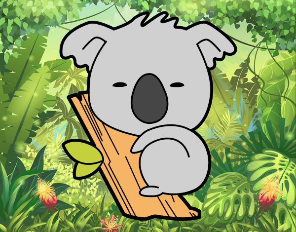 Koala bebé