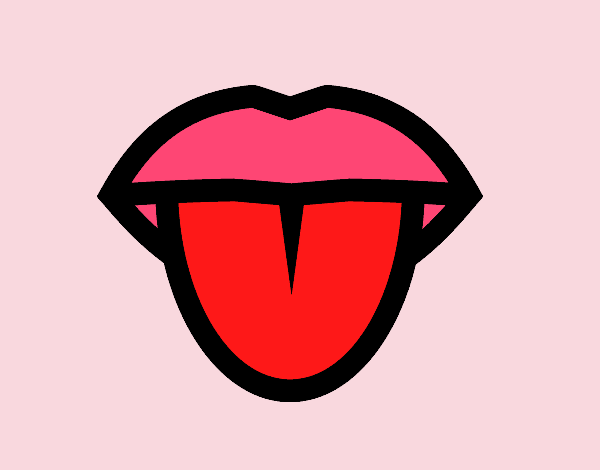 labios y lengua