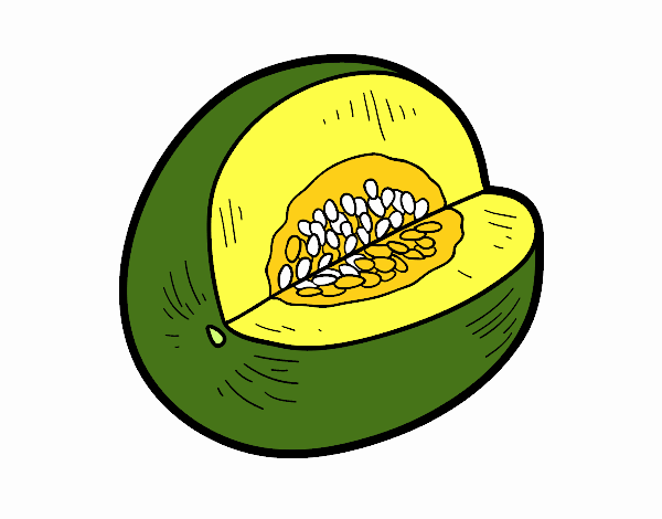 Melón galia