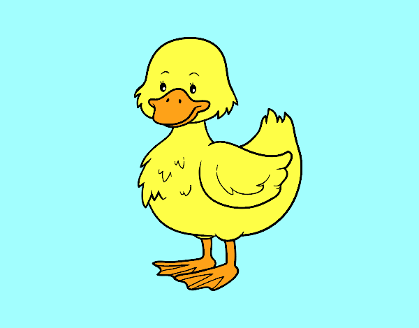 Patito de granja