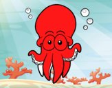 Pulpo rojo