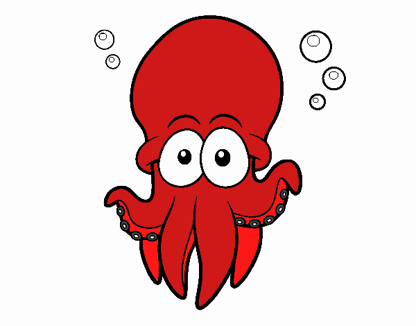 Pulpo rojo