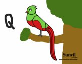 Quetzal