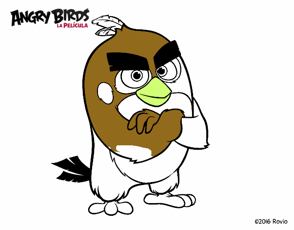 Red de Angry Birds