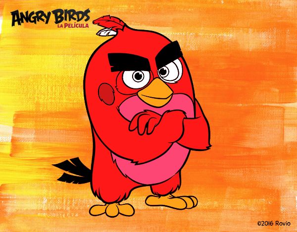 Red de Angry Birds