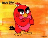 Red de Angry Birds