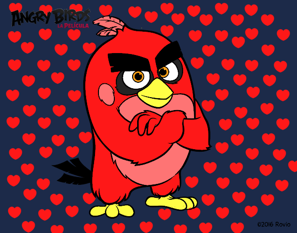 Red de Angry Birds