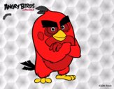 Red de Angry Birds