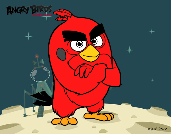 Red de Angry Birds