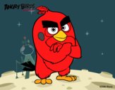 Red de Angry Birds