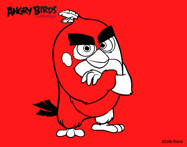 Red de Angry Birds