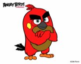 Red de Angry Birds